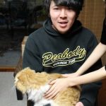 コンボキャットの栄養成分と安全性の口コミ評判