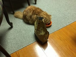カントリーロードキャットフードの栄養成分と安全性の口コミ評判