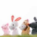 後払いができるおすすめのキャットフード通販サイト5選