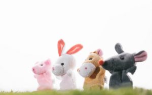 後払いができるおすすめのキャットフード通販サイト5選