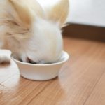 ファインペッツドッグフードの栄養成分と安全性の口コミ評判