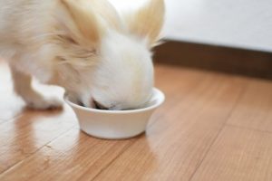ファインペッツドッグフードの栄養成分と安全性の口コミ評判
