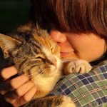 キャットフード評論家がおすすめするキャットフードの選び方