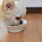 犬用プリスクリプションダイエットの栄養成分と口コミ評判