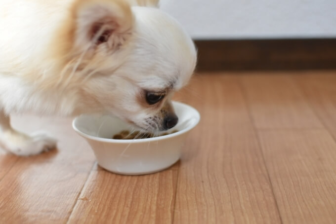 犬用プリスクリプションダイエットの栄養成分と口コミ評判